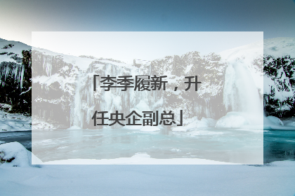 李季履新，升任央企副总