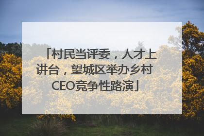 村民当评委，人才上讲台，望城区举办乡村CEO竞争性路演