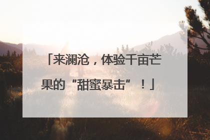 来澜沧，体验千亩芒果的“甜蜜暴击”！