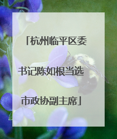 杭州临平区委书记陈如根当选市政协副主席