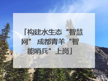 构建水生态“智慧网” 成都青羊“智能哨兵”上岗