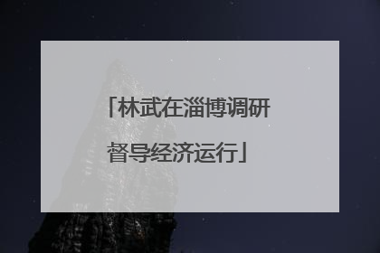 林武在淄博调研督导经济运行