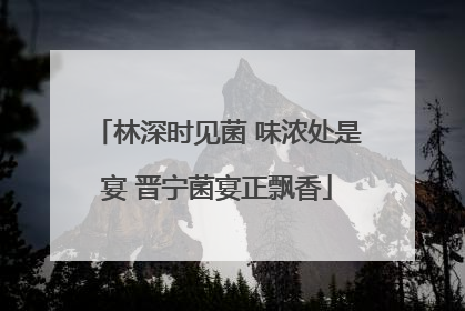 林深时见菌 味浓处是宴 晋宁菌宴正飘香