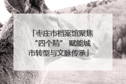枣庄市档案馆聚焦“四个精” 赋能城市转型与文脉传承