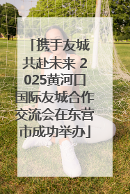 携手友城 共赴未来 2025黄河口国际友城合作交流会在东营市成功举办
