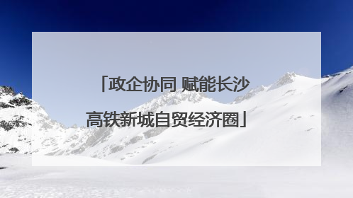 政企协同 赋能长沙高铁新城自贸经济圈