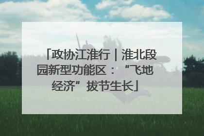 政协江淮行｜淮北段园新型功能区：“飞地经济”拔节生长
