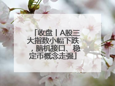 收盘丨A股三大指数小幅下跌，脑机接口、稳定币概念走强