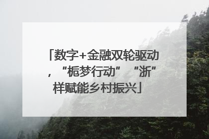 数字+金融双轮驱动，“栀梦行动”“浙”样赋能乡村振兴