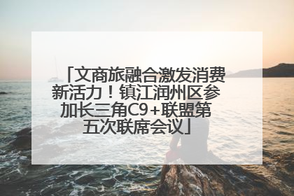 文商旅融合激发消费新活力！镇江润州区参加长三角C9+联盟第五次联席会议