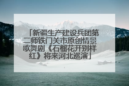 新疆生产建设兵团第二师铁门关市原创情景歌舞剧《石榴花开别样红》将来河北巡演