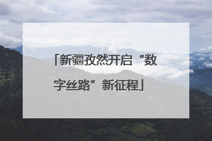 新疆孜然开启“数字丝路”新征程
