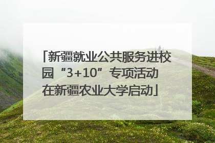 新疆就业公共服务进校园“3+10”专项活动在新疆农业大学启动