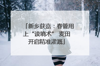 新乡获嘉：春管用上“读墒术” 麦田开启精准灌溉