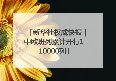 新华社权威快报｜中欧班列累计开行110000列