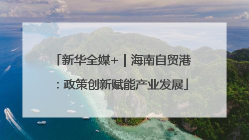 新华全媒+｜海南自贸港：政策创新赋能产业发展