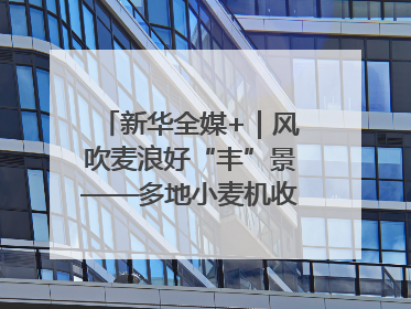 新华全媒+｜风吹麦浪好“丰”景——多地小麦机收一线见闻