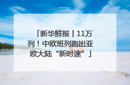新华鲜报丨11万列！中欧班列跑出亚欧大陆“新时速”
