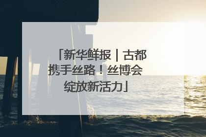 新华鲜报｜古都携手丝路！丝博会绽放新活力