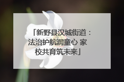 新野县汉城街道：法治护航润童心 家校共育筑未来