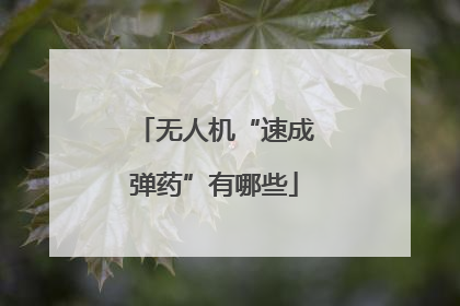 无人机“速成弹药”有哪些