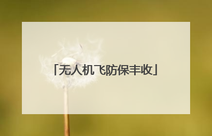 无人机飞防保丰收