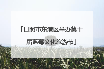 日照市东港区举办第十三届蓝莓文化旅游节