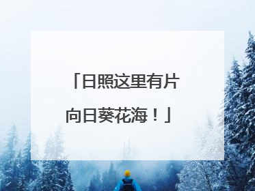 日照这里有片向日葵花海！