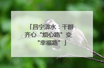 昌宁漭水：干群齐心“烦心路”变“幸福路”