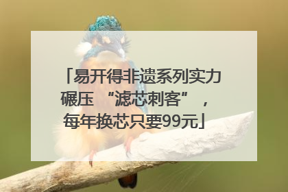 易开得非遗系列实力碾压 “滤芯刺客”，每年换芯只要99元