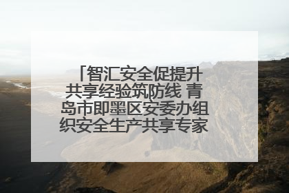 智汇安全促提升 共享经验筑防线 青岛市即墨区安委办组织安全生产共享专家现场观摩学习活动
