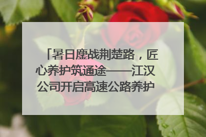 暑日鏖战荆楚路，匠心养护筑通途——江汉公司开启高速公路养护专项工程建设热潮