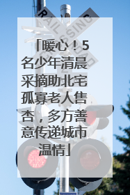 暖心！5名少年清晨采摘助北宅孤寡老人售杏，多方善意传递城市温情