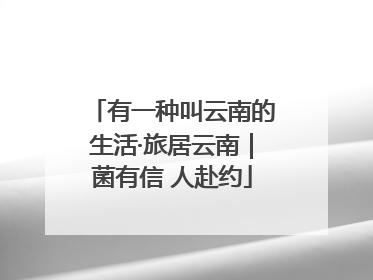 有一种叫云南的生活·旅居云南｜菌有信 人赴约