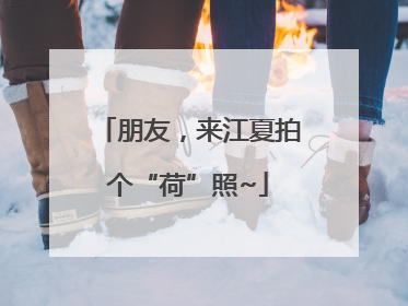 朋友，来江夏拍个“荷”照~