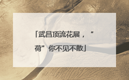 武昌顶流花展，“荷”你不见不散