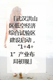 武汉洪山区低空经济综合试验区建设启动，“1+4+1”产业布局初现