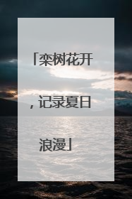 栾树花开，记录夏日浪漫