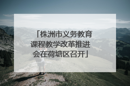 株洲市义务教育课程教学改革推进会在荷塘区召开