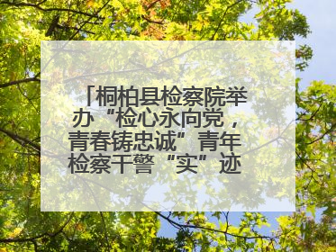 桐柏县检察院举办“检心永向党，青春铸忠诚”青年检察干警“实”迹展示活动