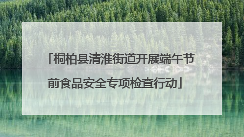 桐柏县清淮街道开展端午节前食品安全专项检查行动