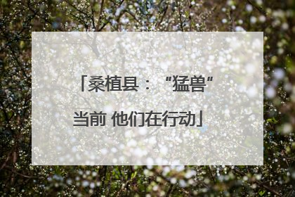 桑植县：“猛兽”当前 他们在行动