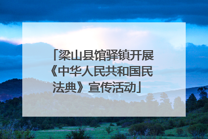 梁山县馆驿镇开展《中华人民共和国民法典》宣传活动