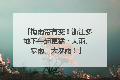 梅雨带有变！浙江多地下午起更猛：大雨、暴雨、大暴雨！