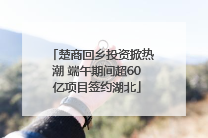 楚商回乡投资掀热潮 端午期间超60亿项目签约湖北