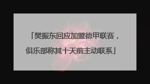 樊振东回应加盟德甲联赛，俱乐部称其十天前主动联系