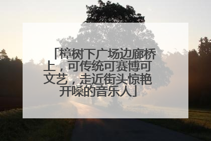 樟树下广场边廊桥上，可传统可赛博可文艺，走近街头惊艳开嗓的音乐人