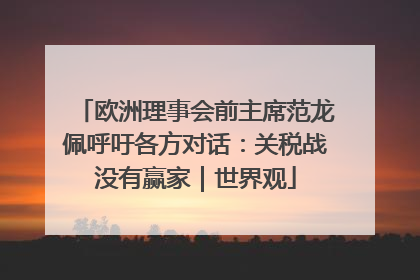 欧洲理事会前主席范龙佩呼吁各方对话：关税战没有赢家｜世界观