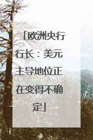 欧洲央行行长：美元主导地位正在变得不确定