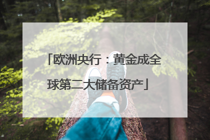 欧洲央行：黄金成全球第二大储备资产